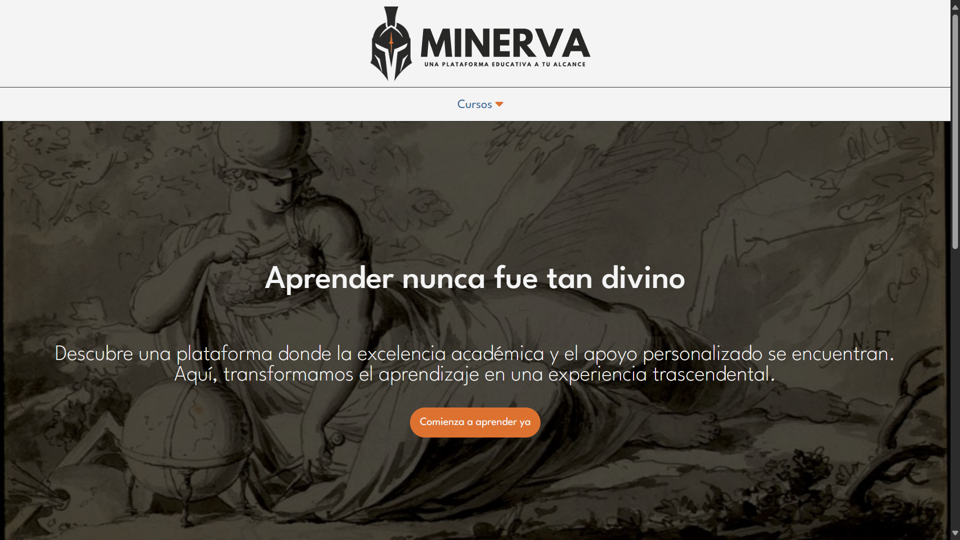 Proyecto minerva